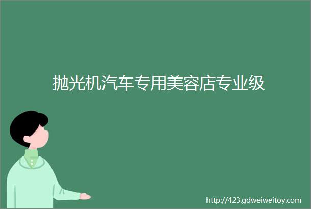 抛光机汽车专用美容店专业级